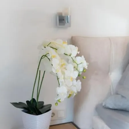 Birkenhof Oldenburg Apartament