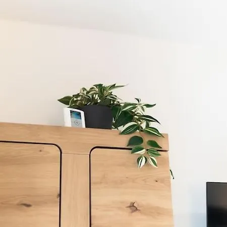 Apartament Birkenhof Oldenburg *