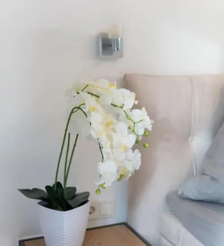 Birkenhof Oldenburg Appartement